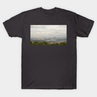 Istanbul (Bosporus) Panoramic View T-Shirt